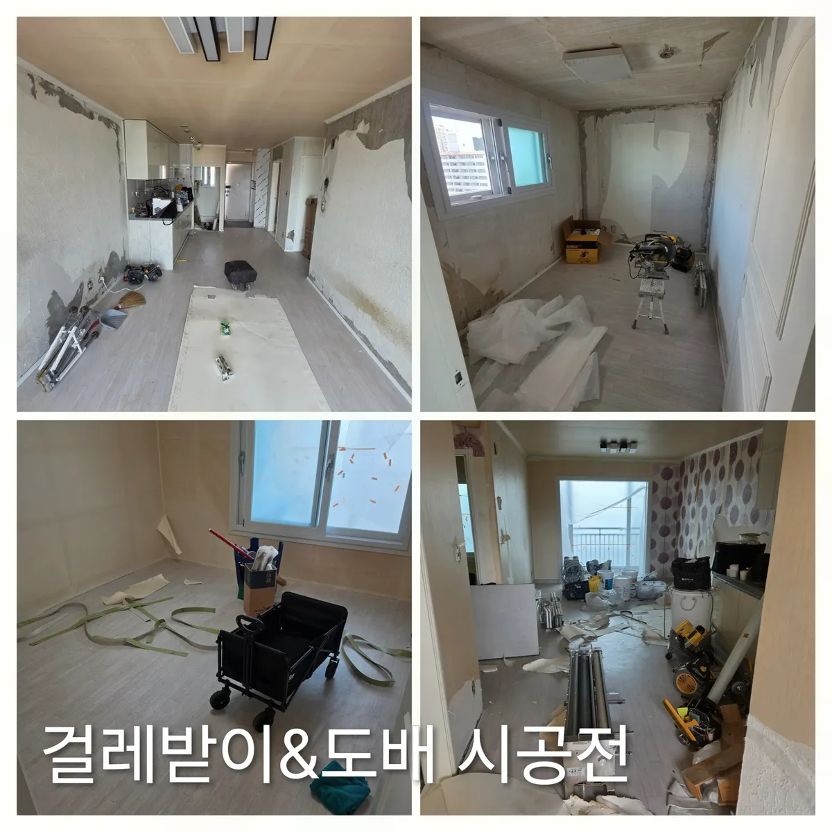 이미지 8