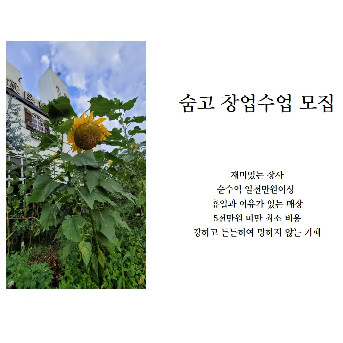 이미지 3