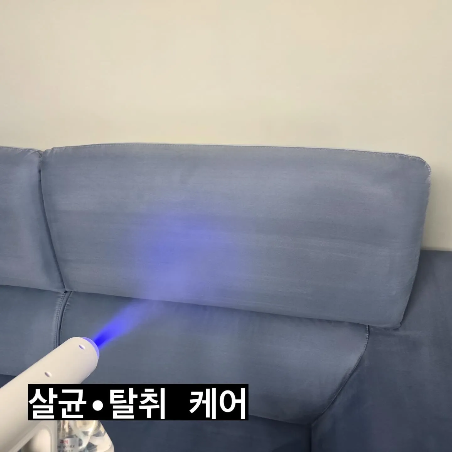 이미지 13