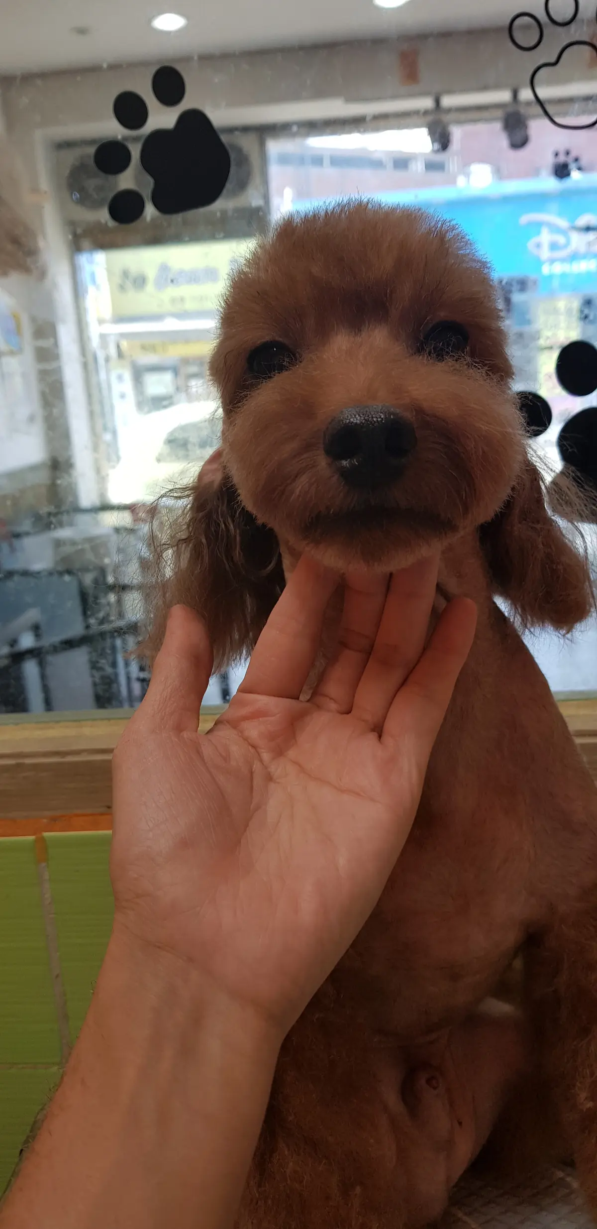 이미지 9