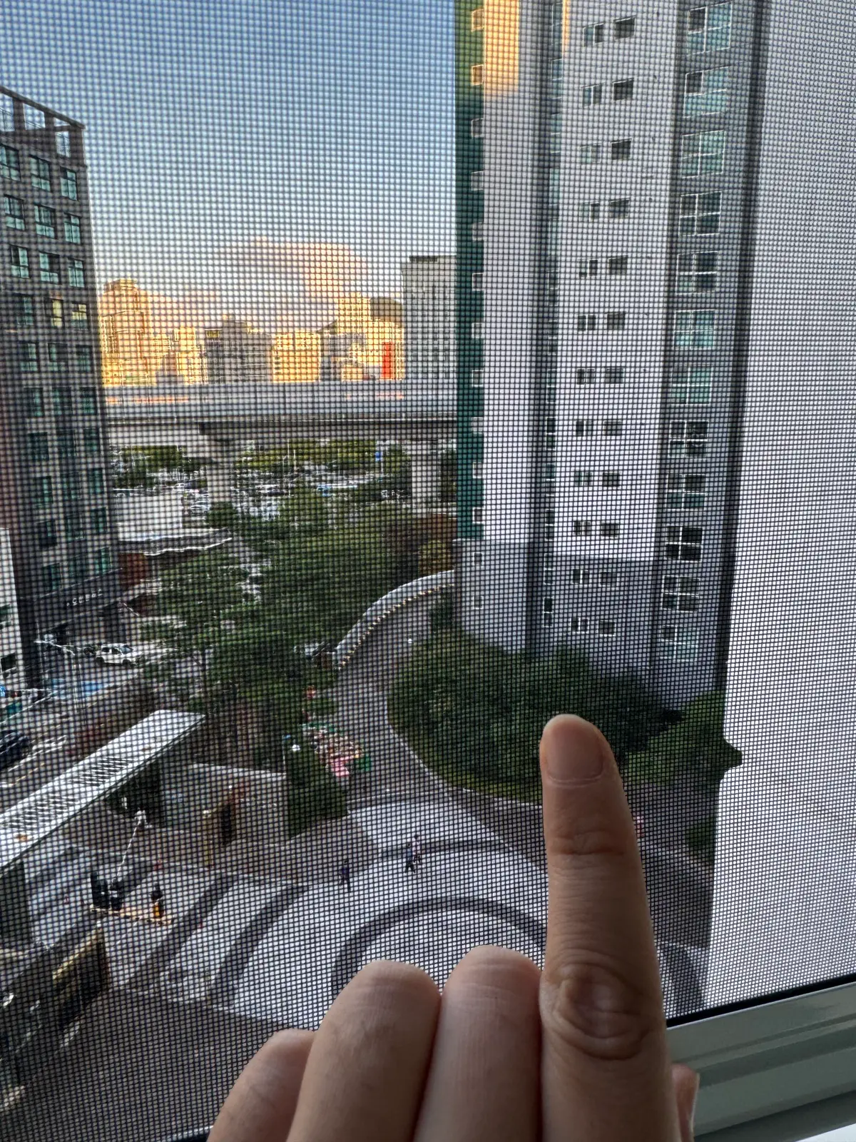 이미지 10