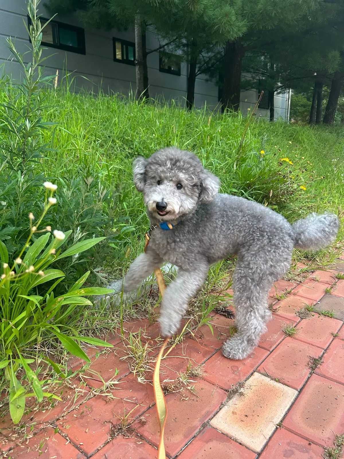 이미지 5