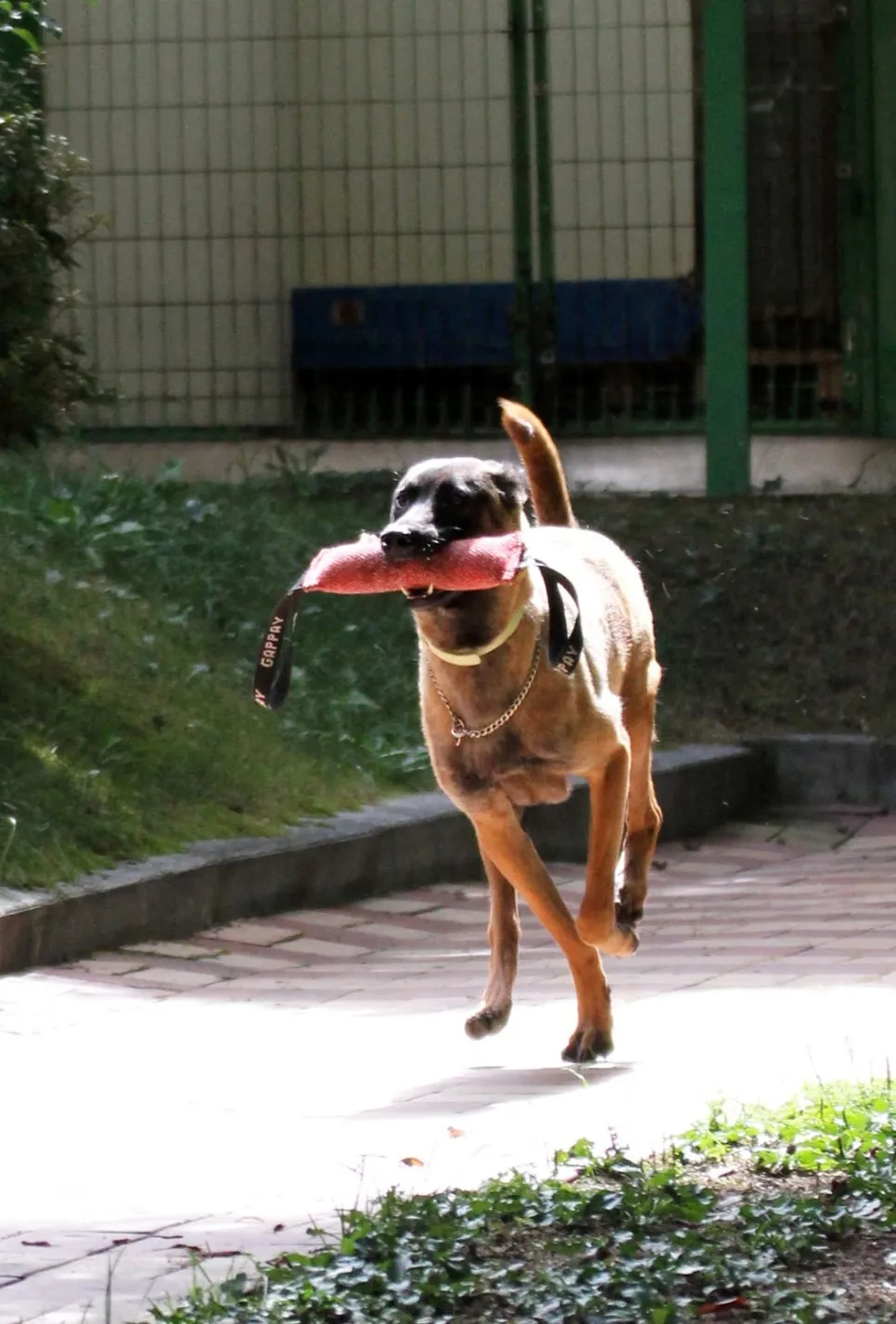 이미지 4