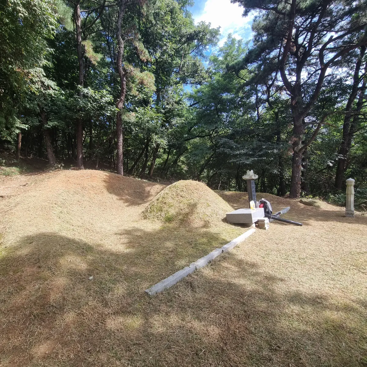 이미지 5