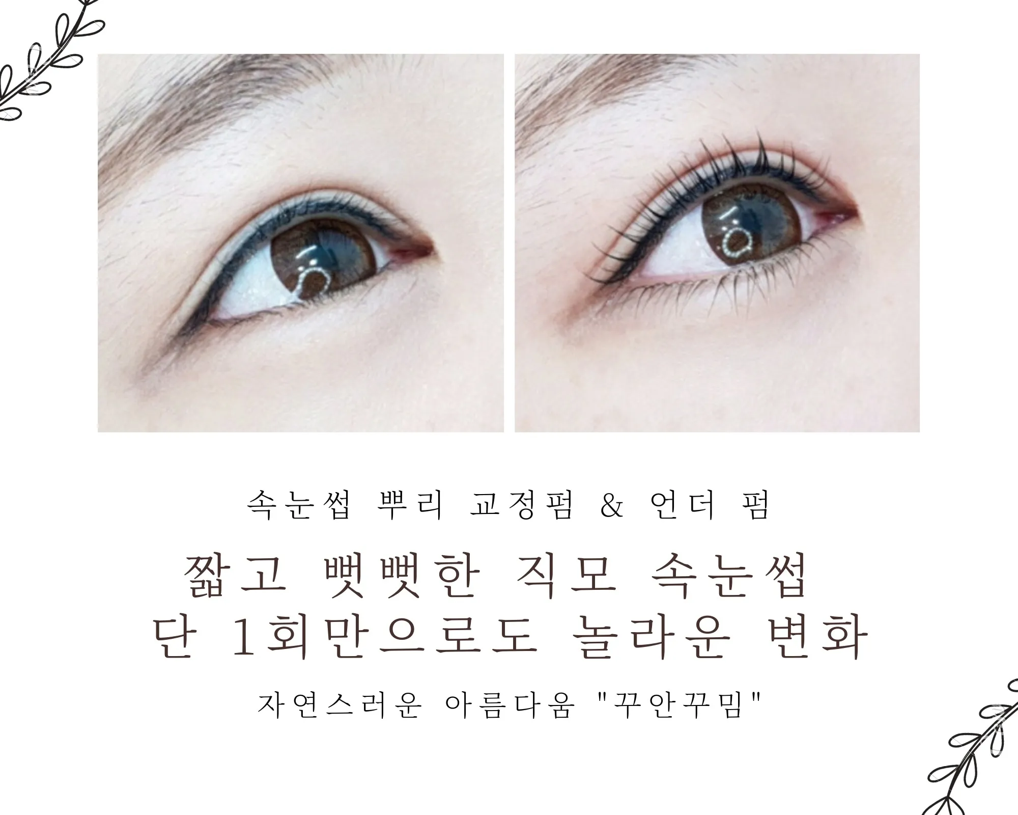 이미지 8