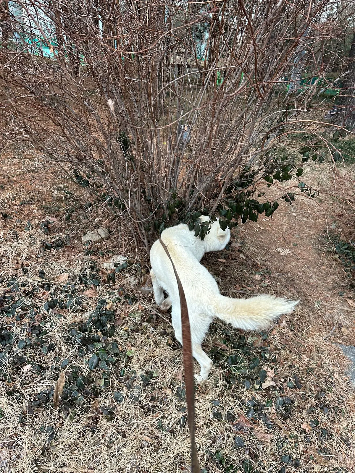 이미지 9