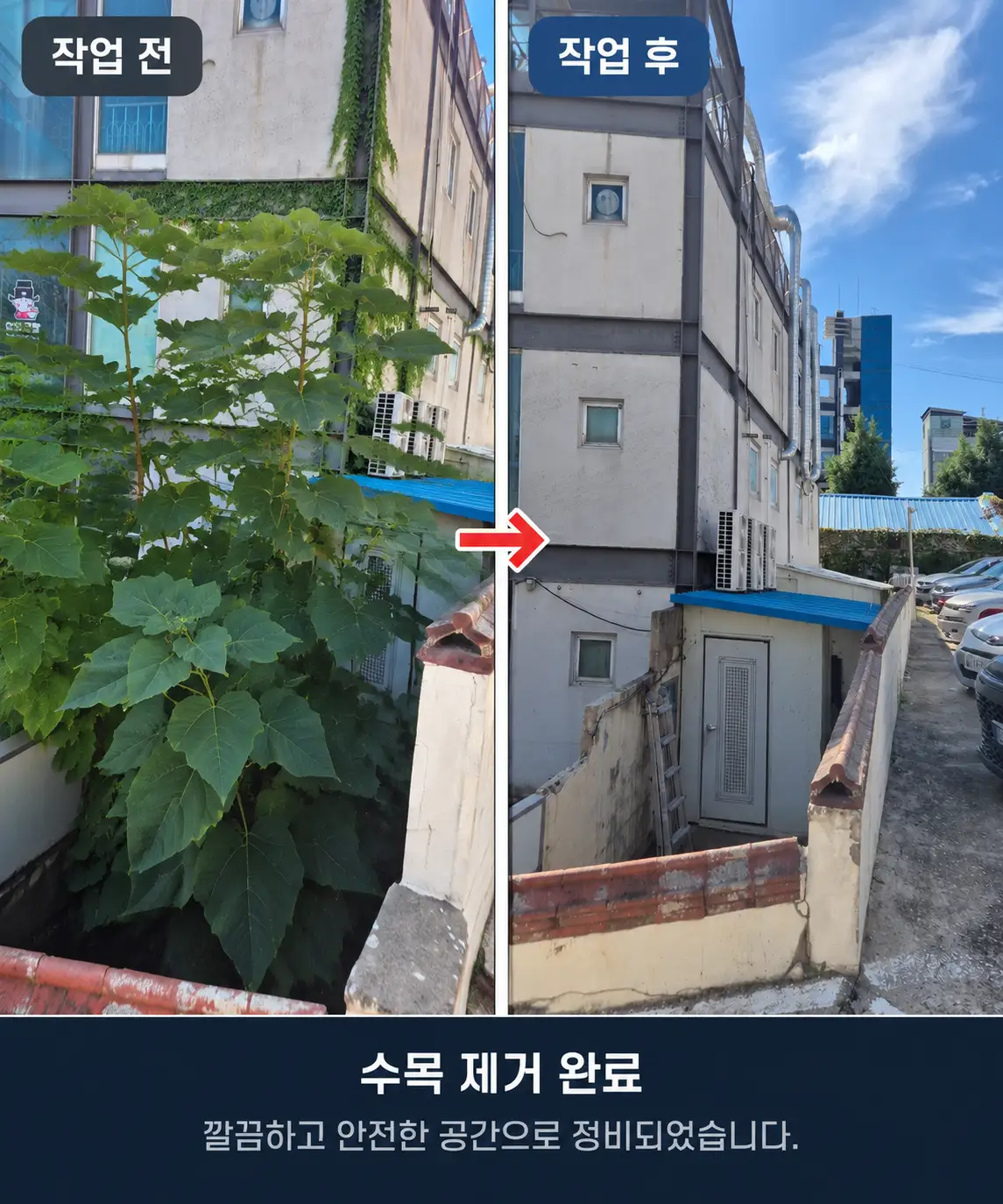 이미지 7