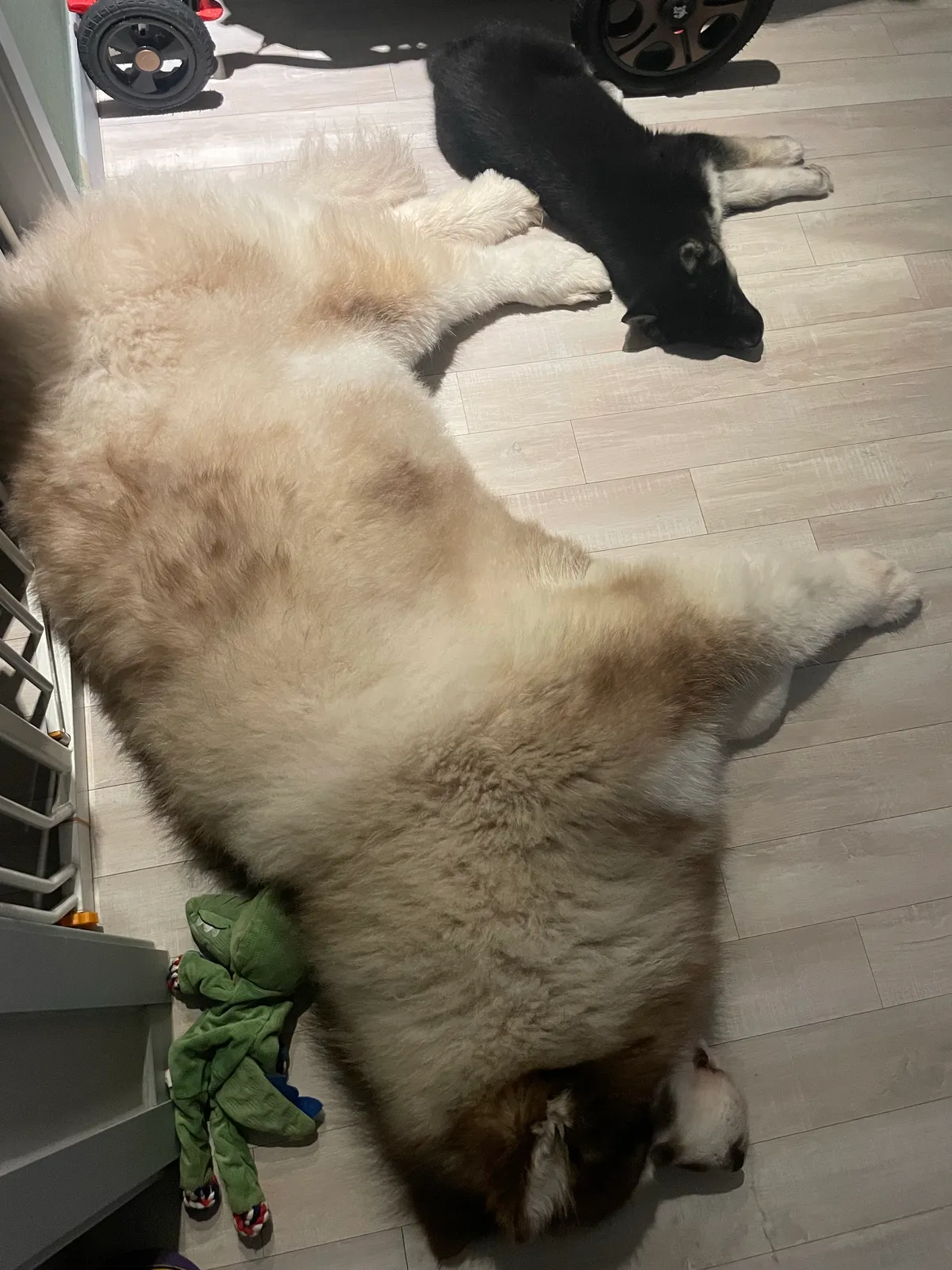 이미지 2