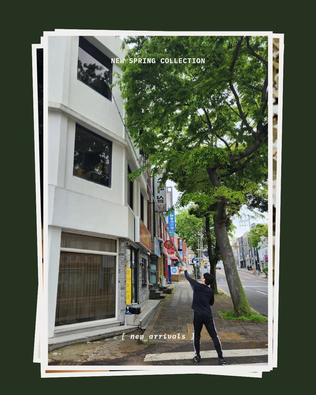 이미지 8