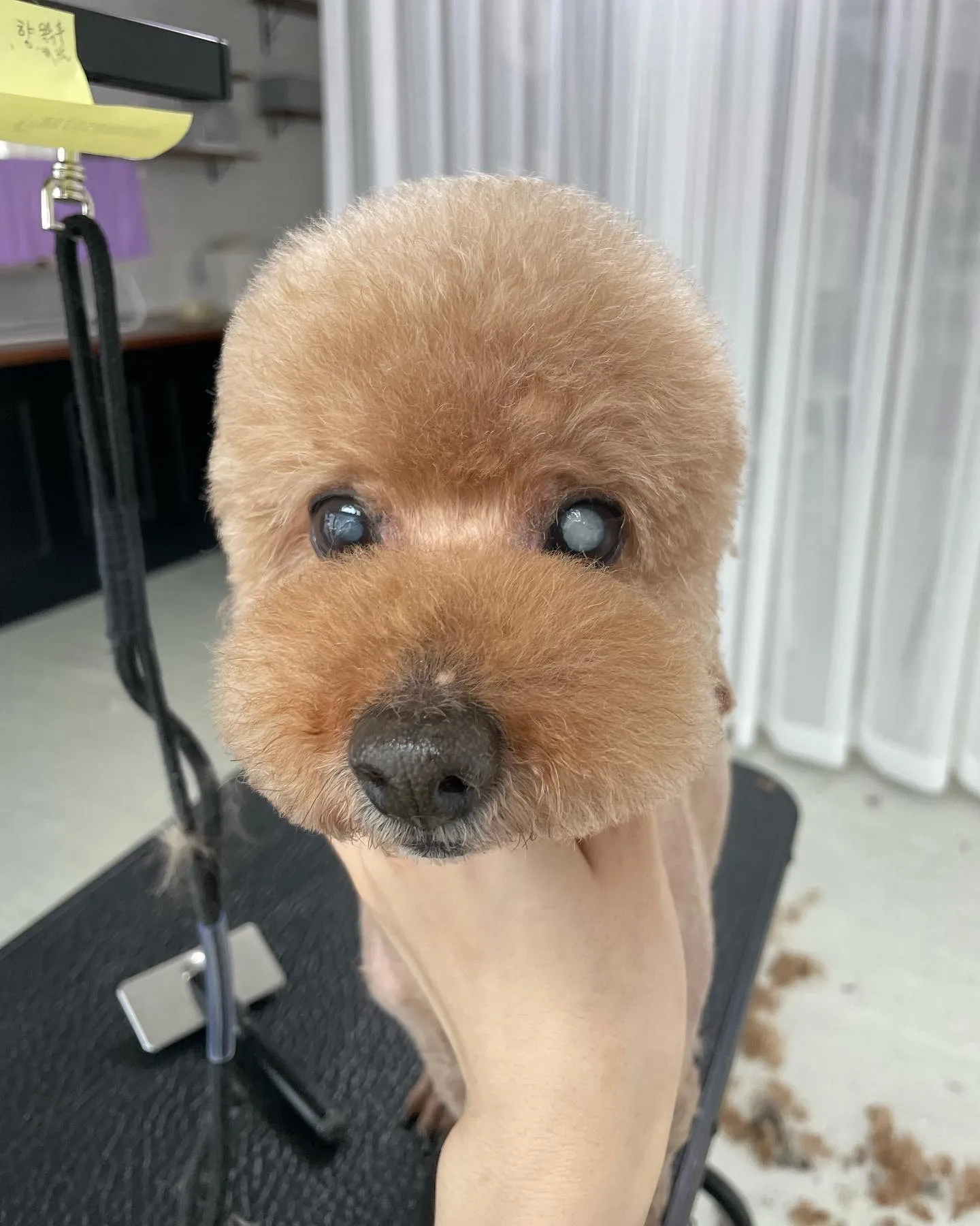 이미지 2