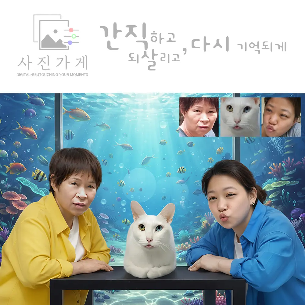 이미지 16
