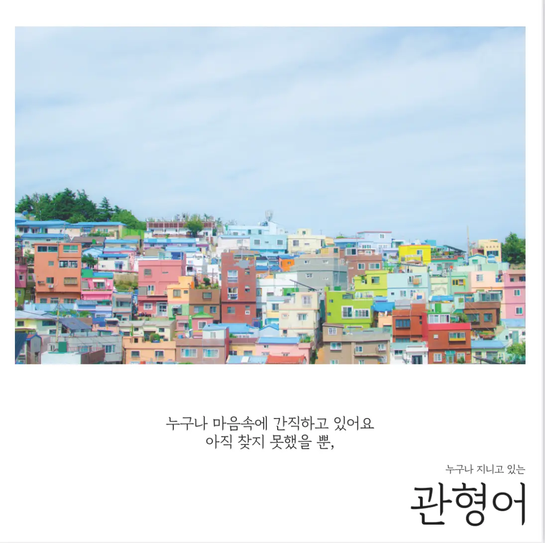 이미지 4