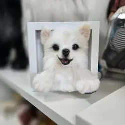 양모펠트 액자
