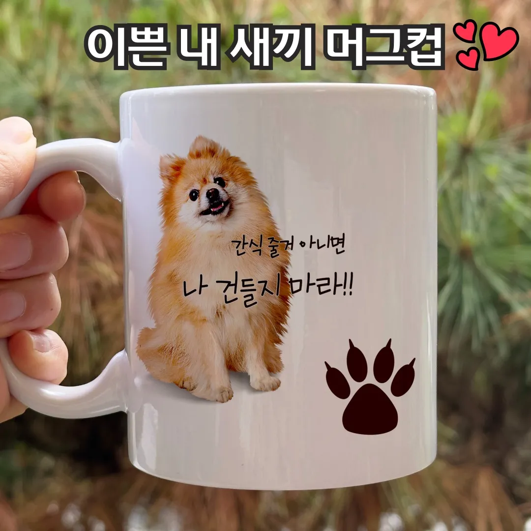 이미지 5