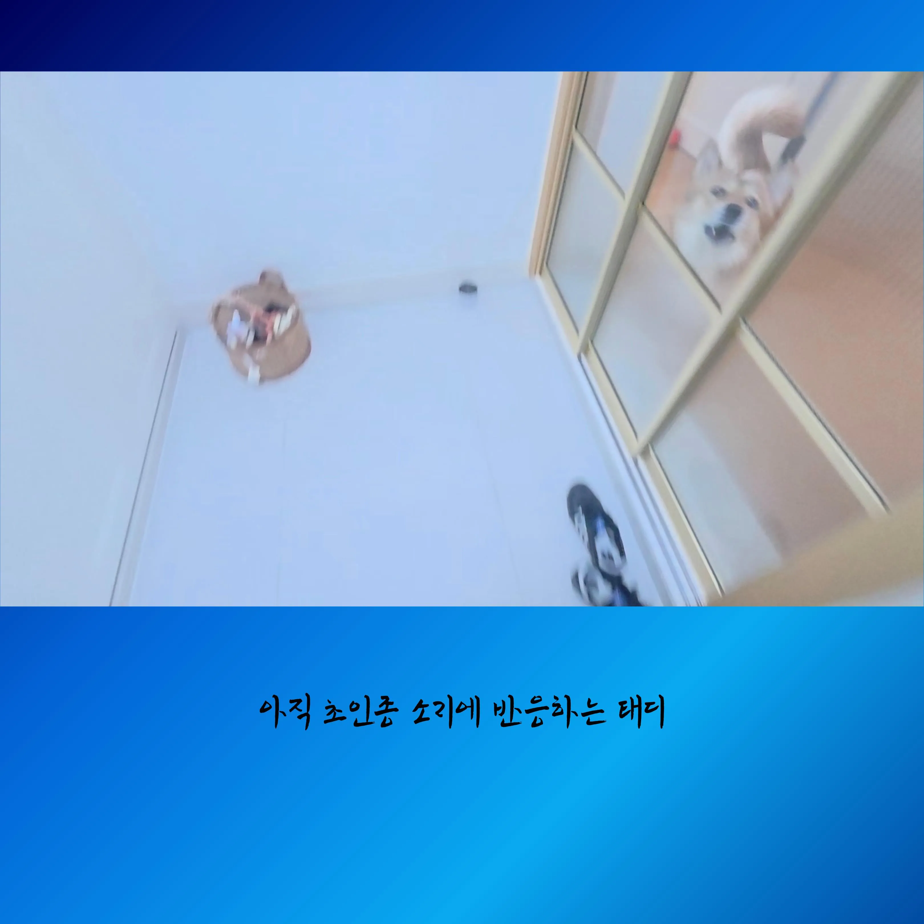 이미지 6