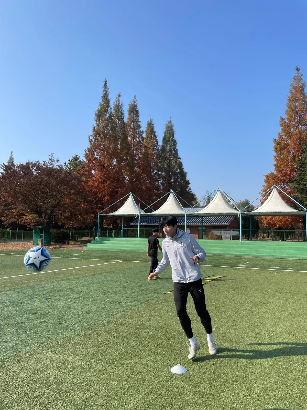이미지 7