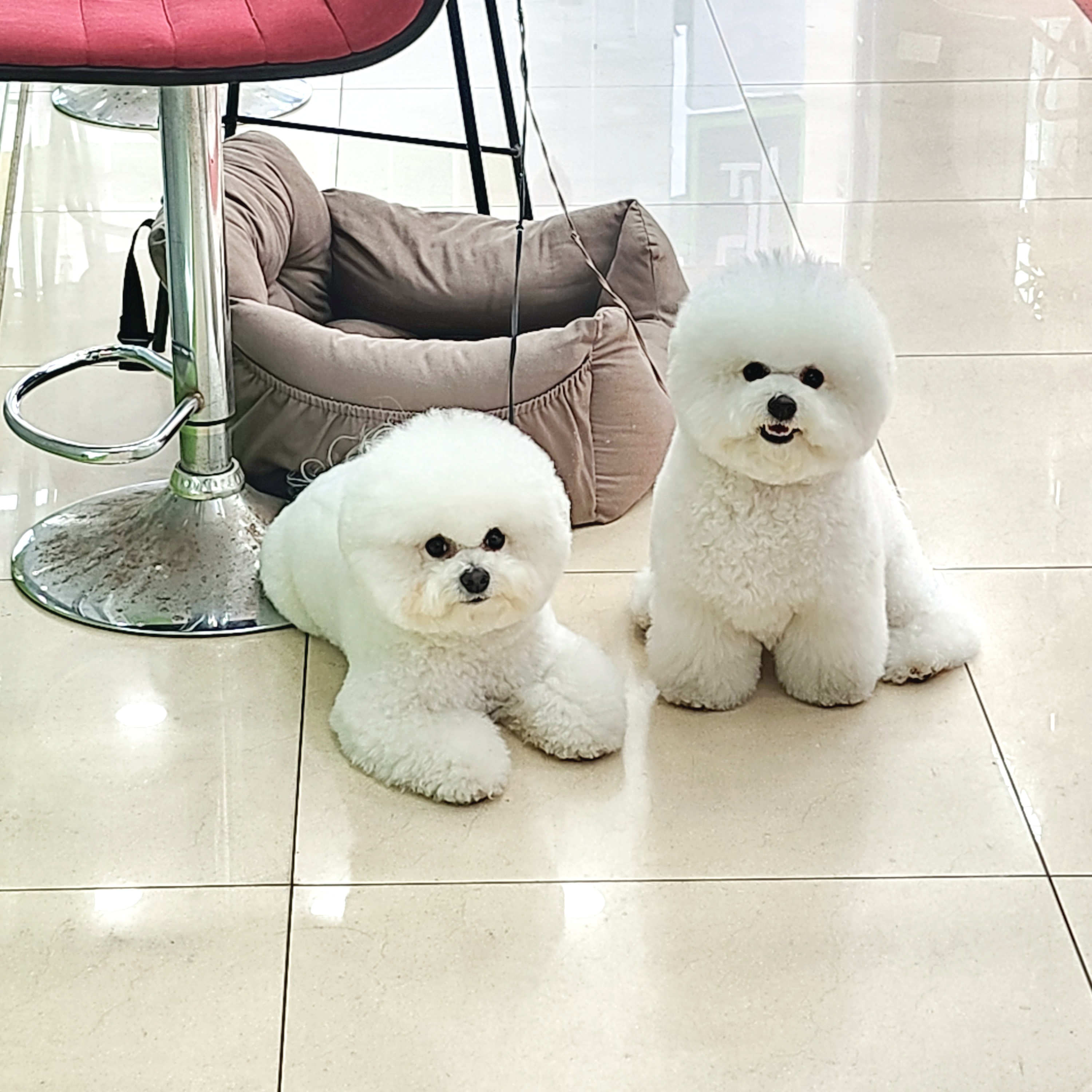 이미지 9