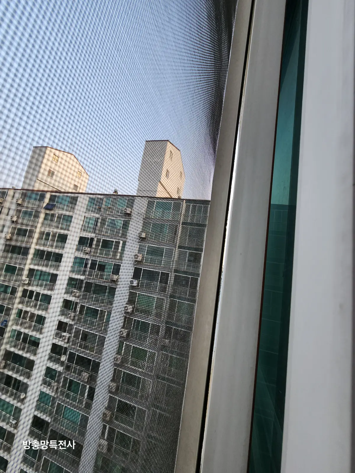 이미지 8