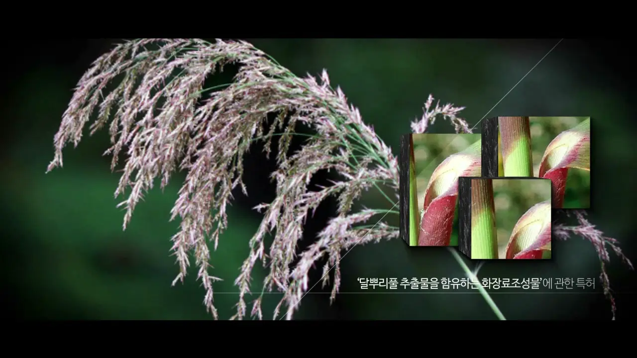 이미지 12