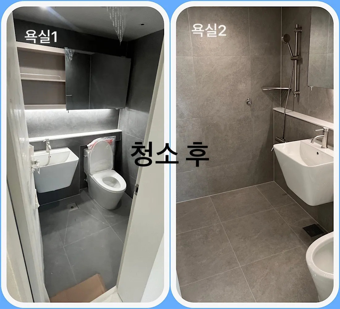 이미지 12
