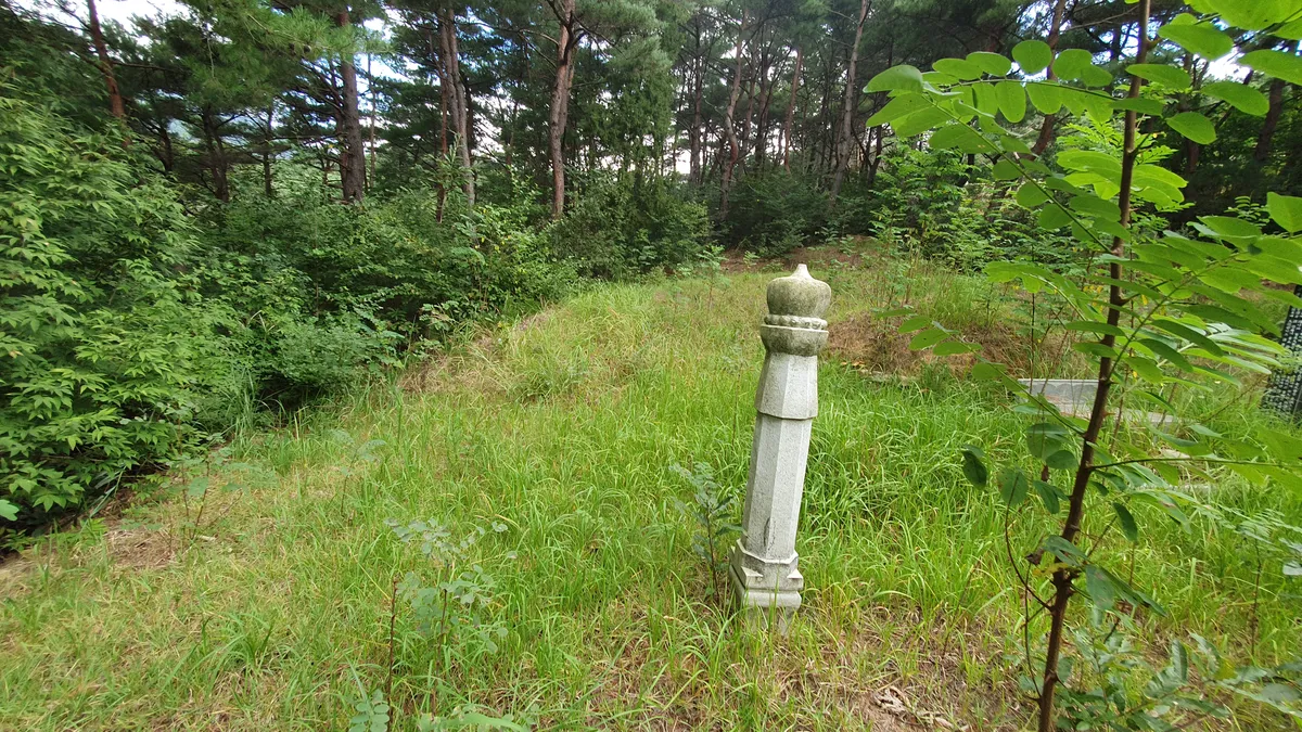이미지 9