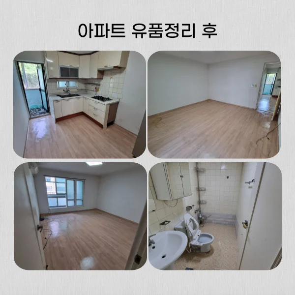 이미지 9