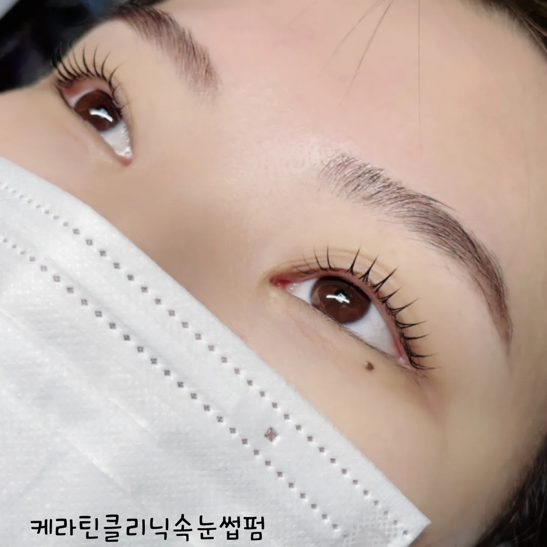 이미지 5