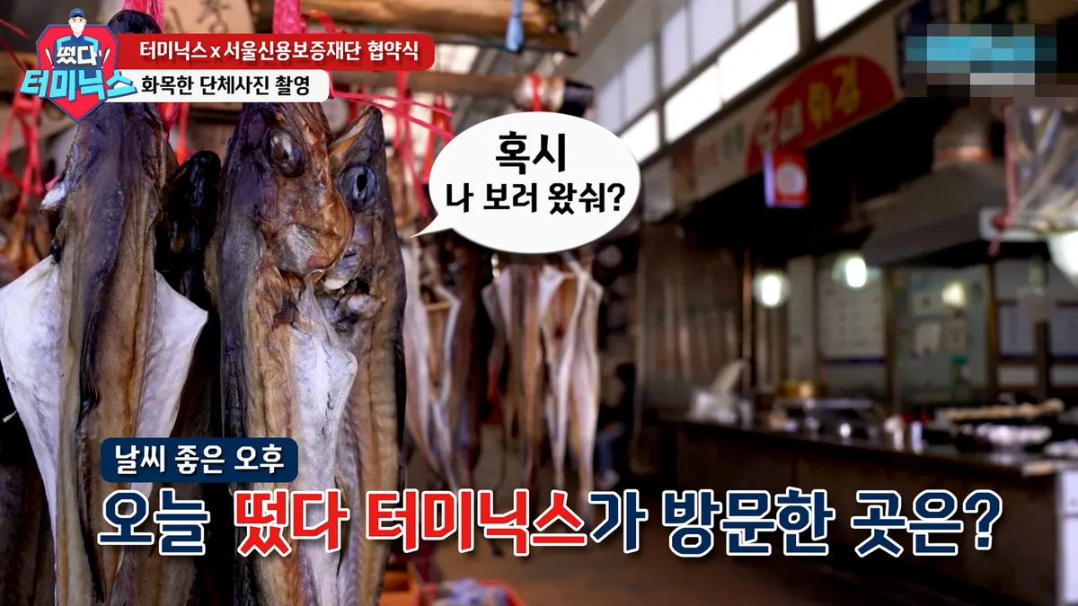 이미지 5
