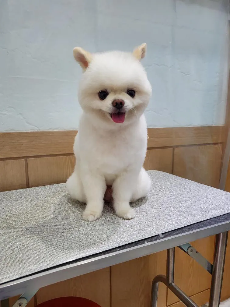 이미지 6
