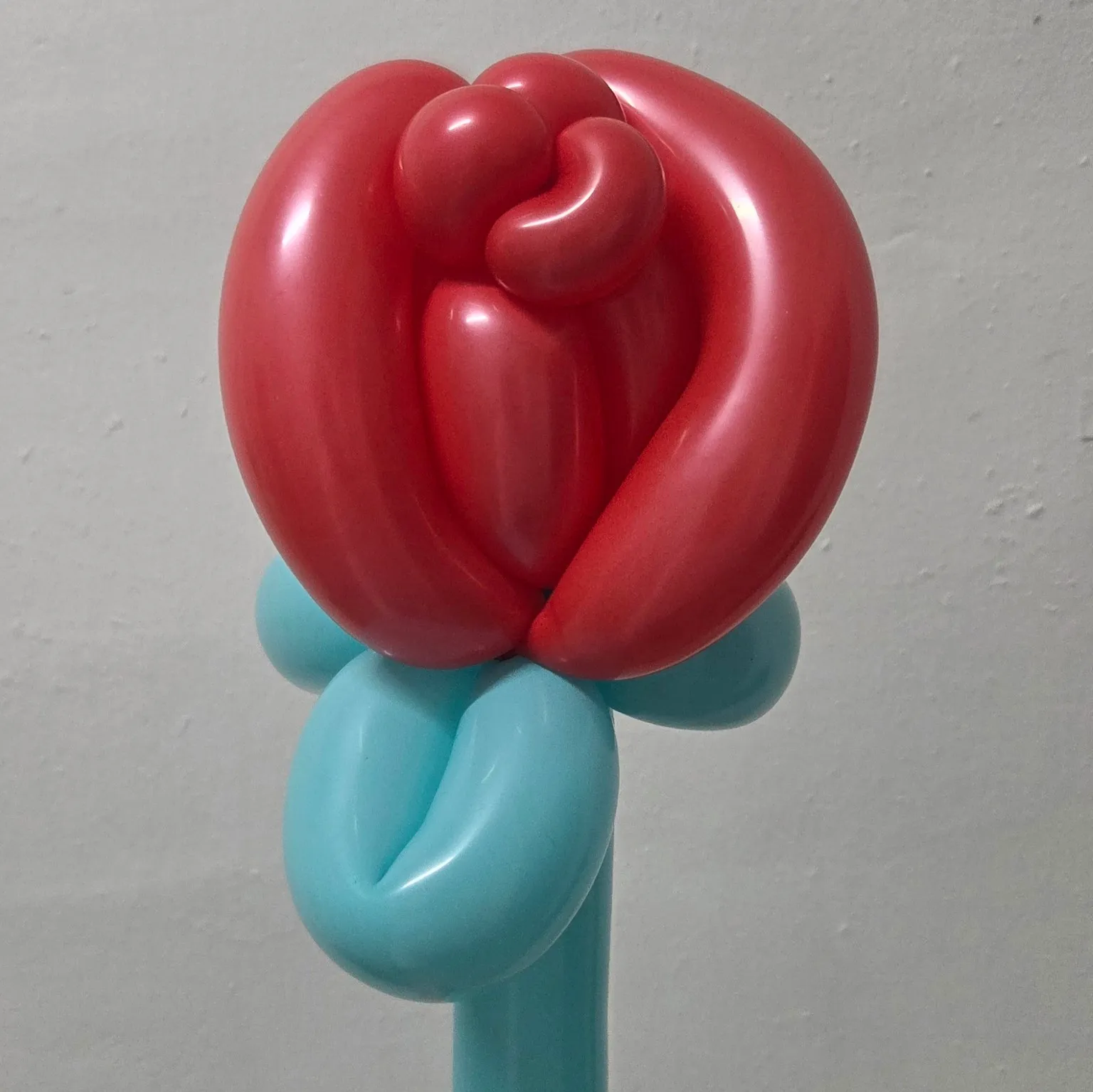 이미지 12