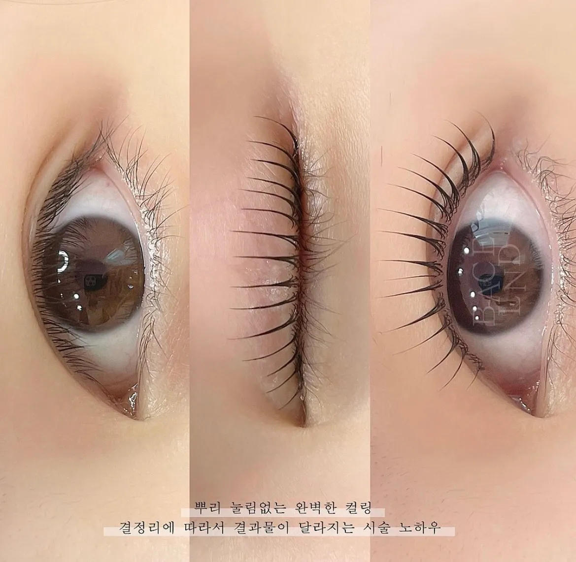 이미지 10