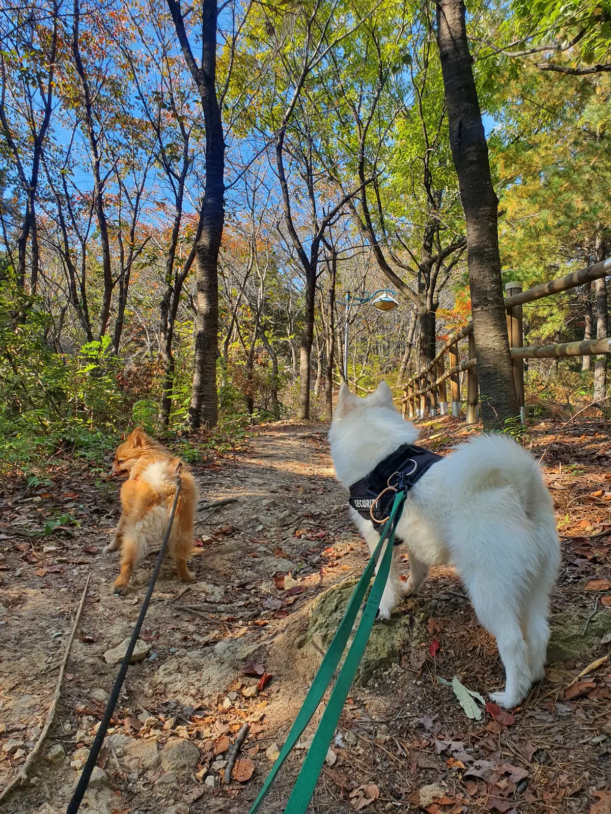 이미지 11
