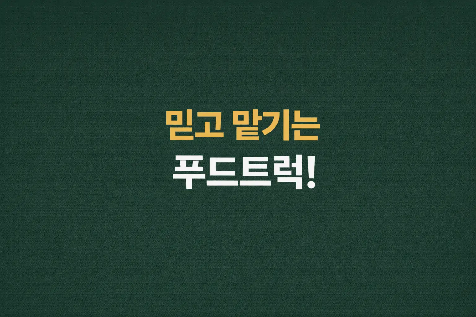 이미지 5