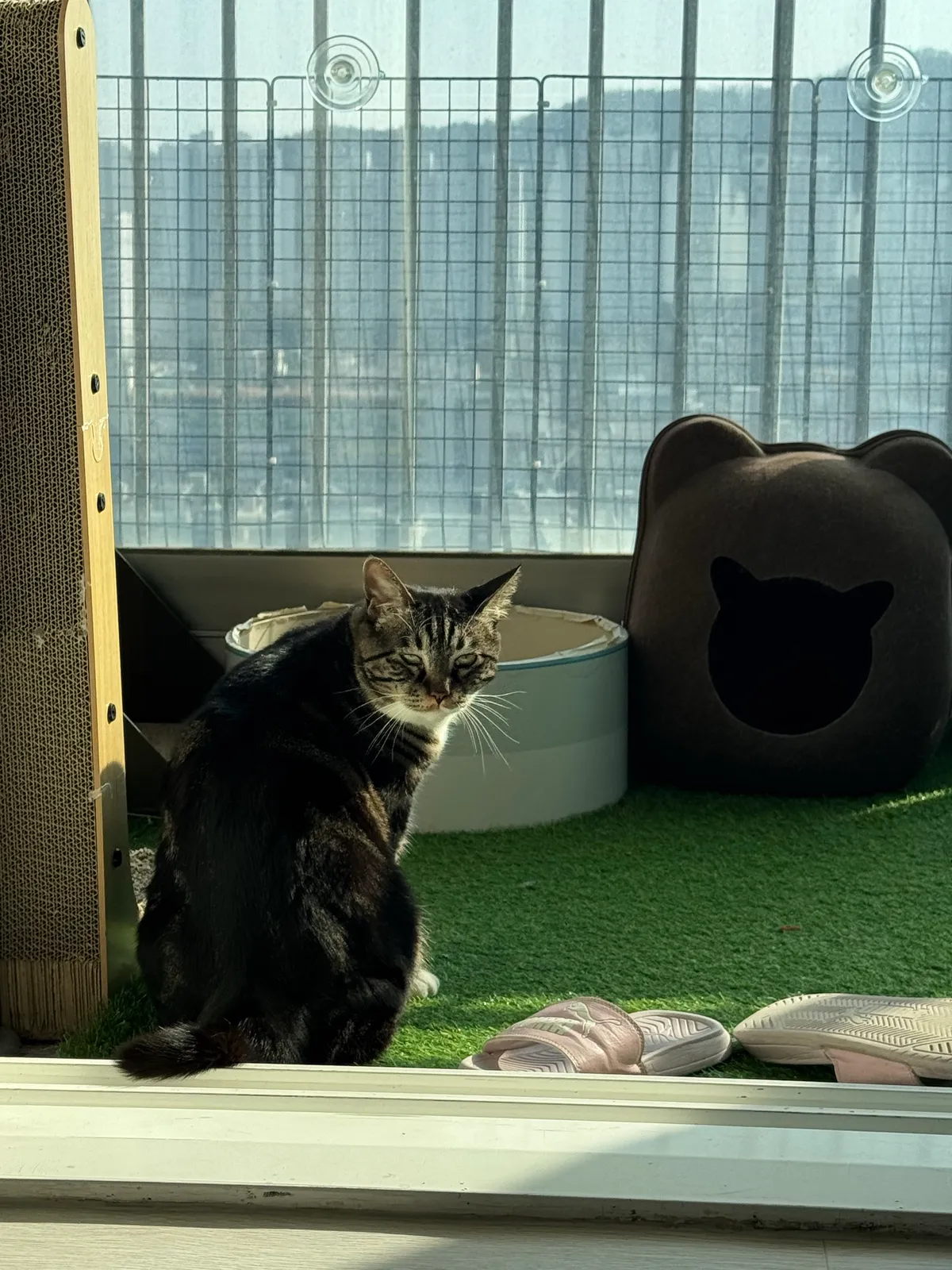 이미지 3