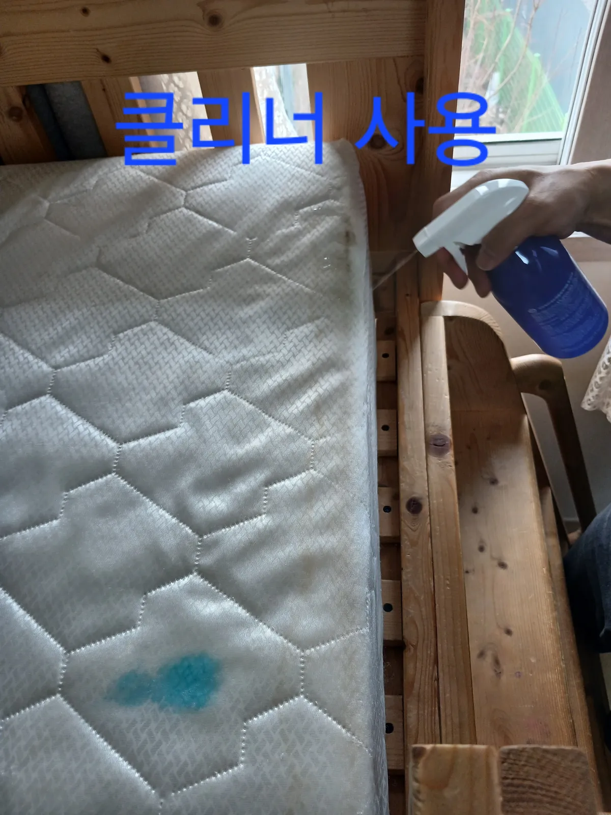 이미지 14