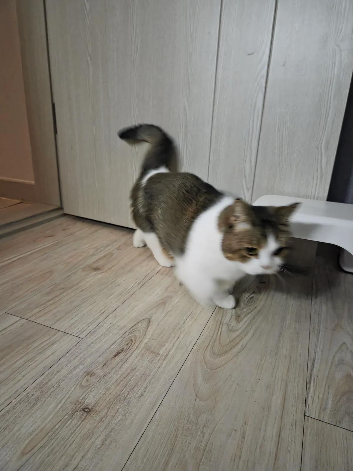 이미지 4