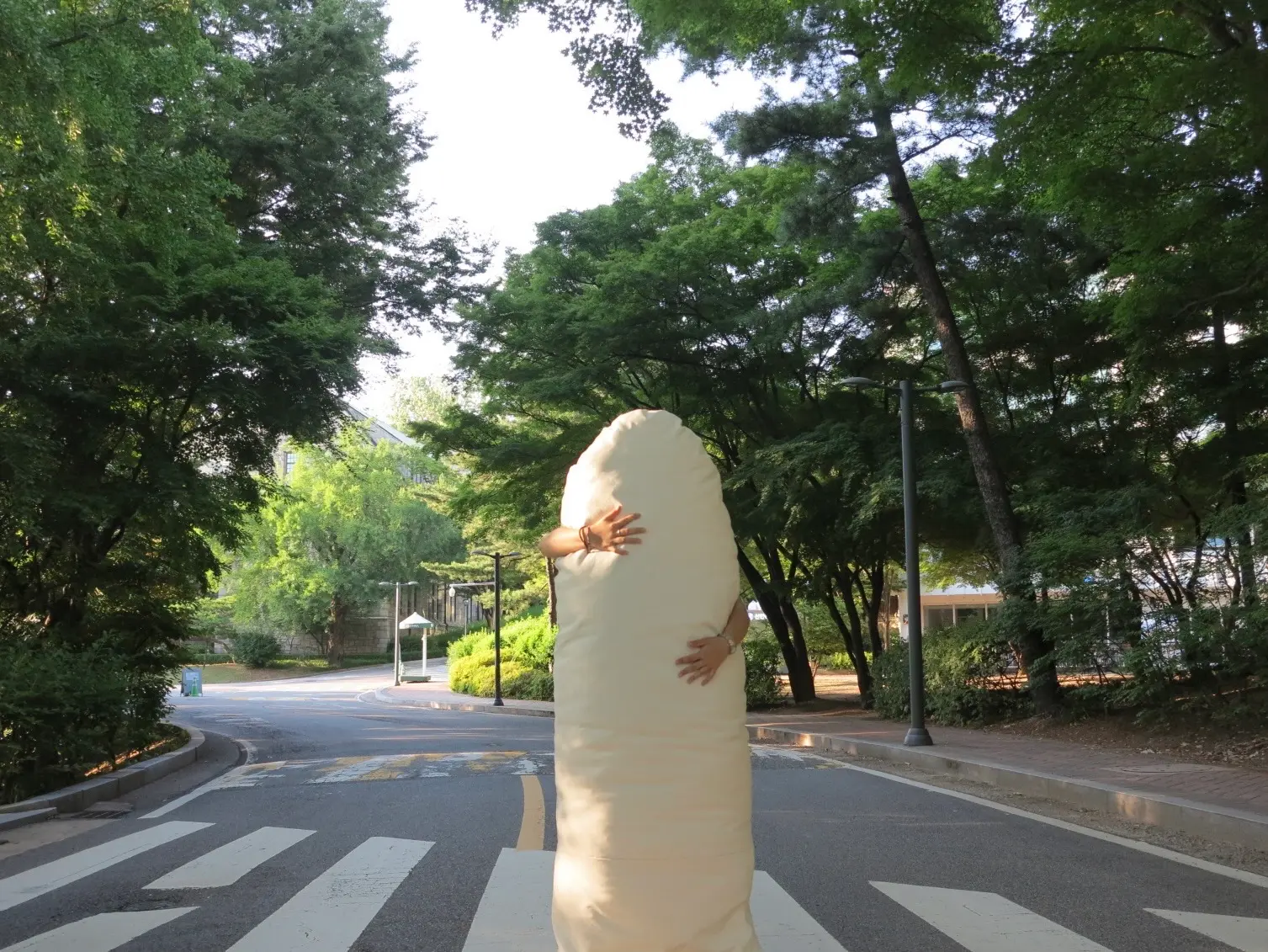 이미지 24
