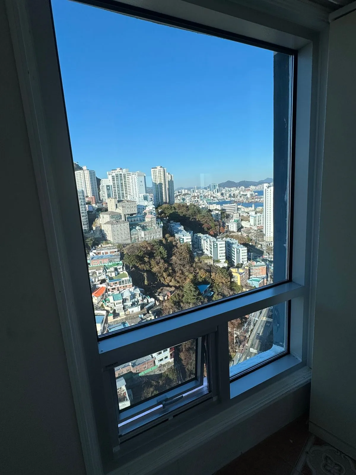 이미지 8