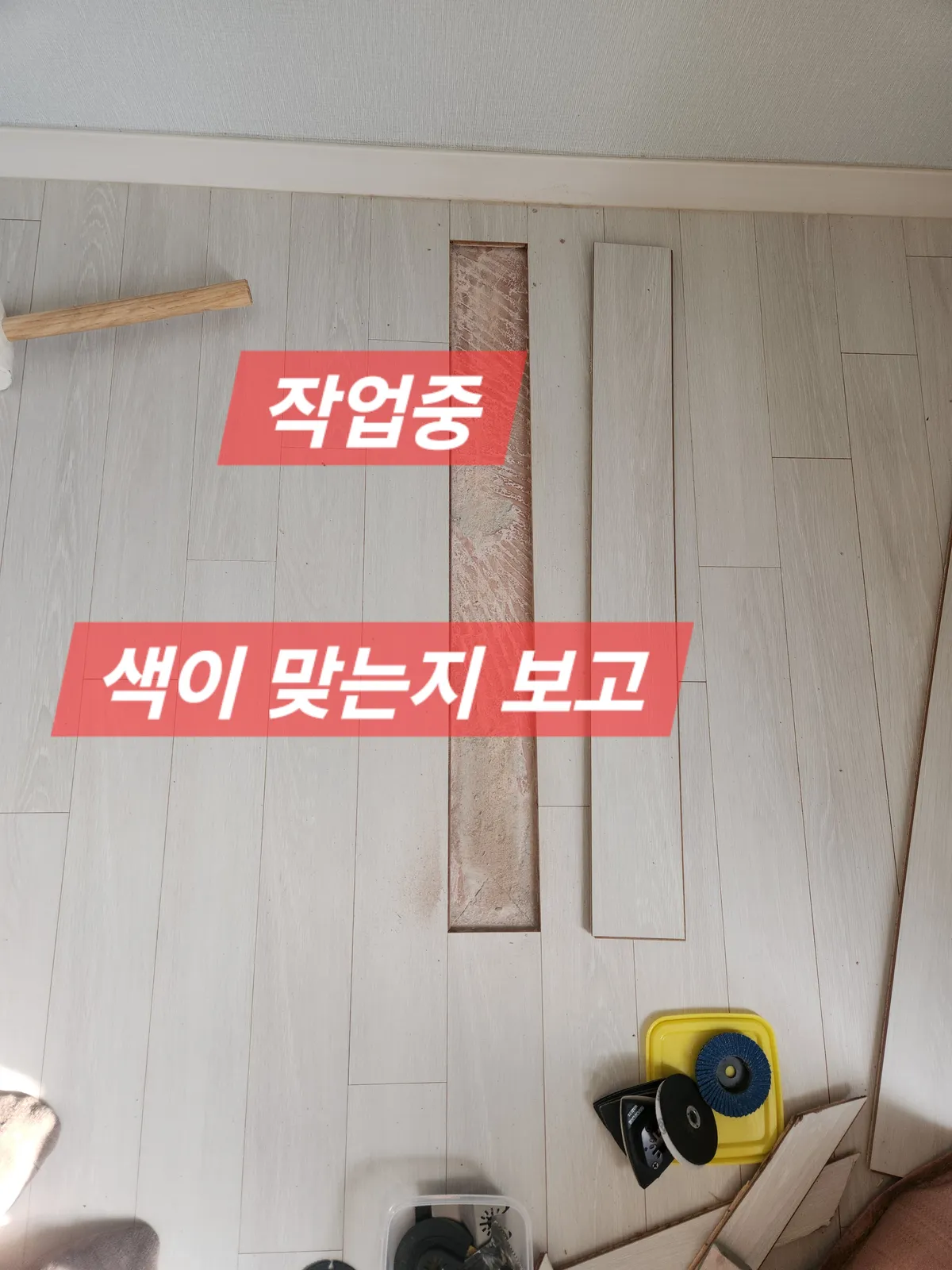이미지 5