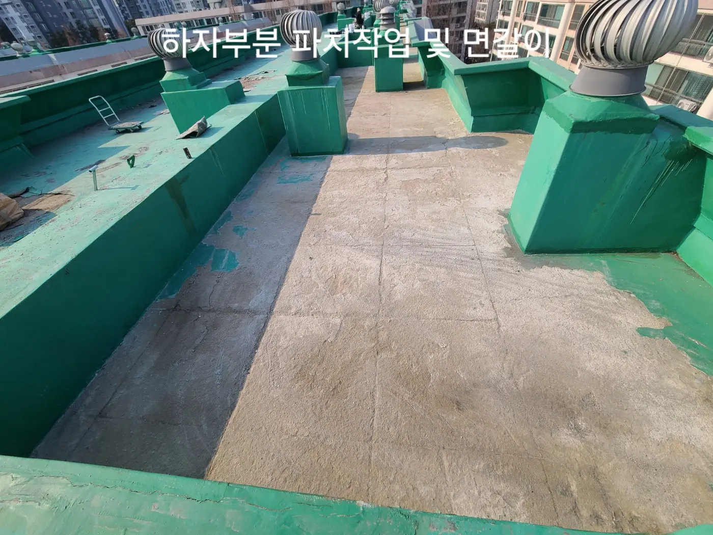 이미지 5