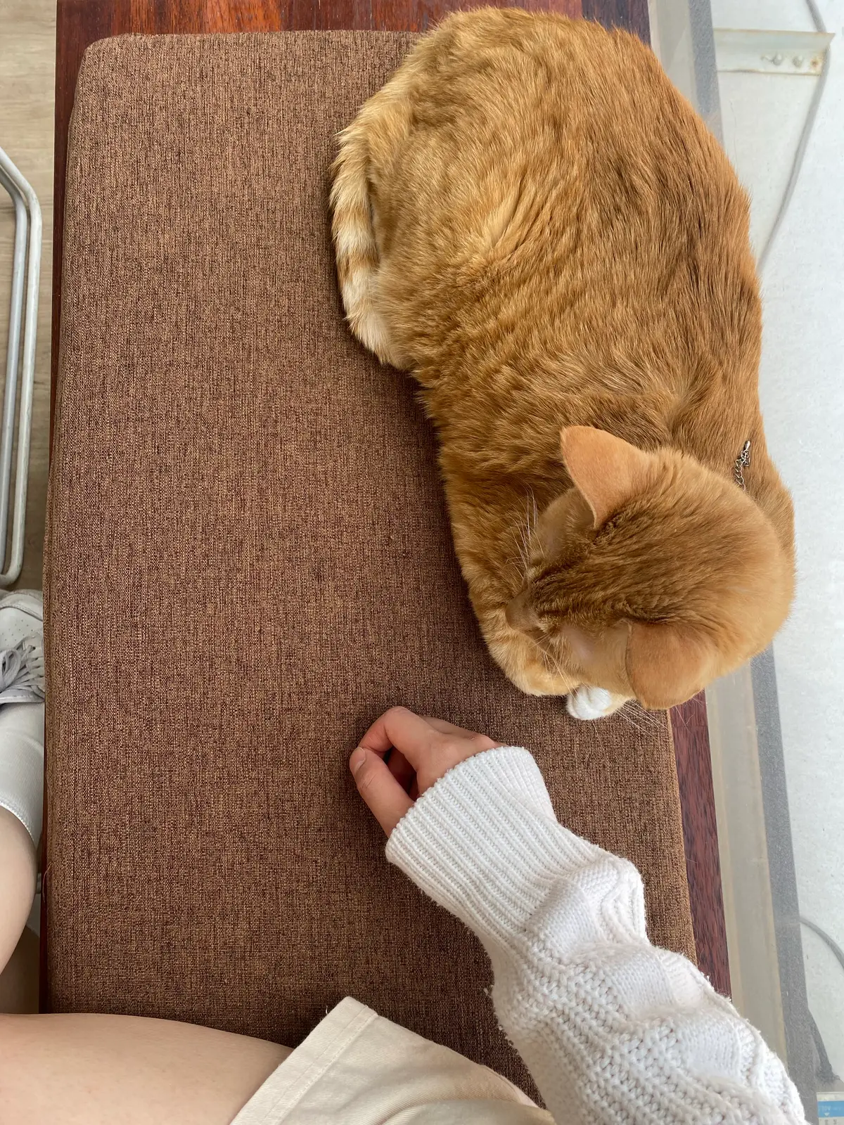 이미지 9