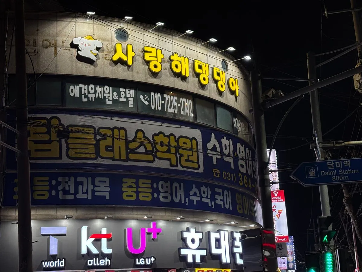 포트폴리오 대표 이미지