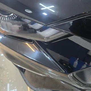 글로우엘리트 머스탱 290,000원