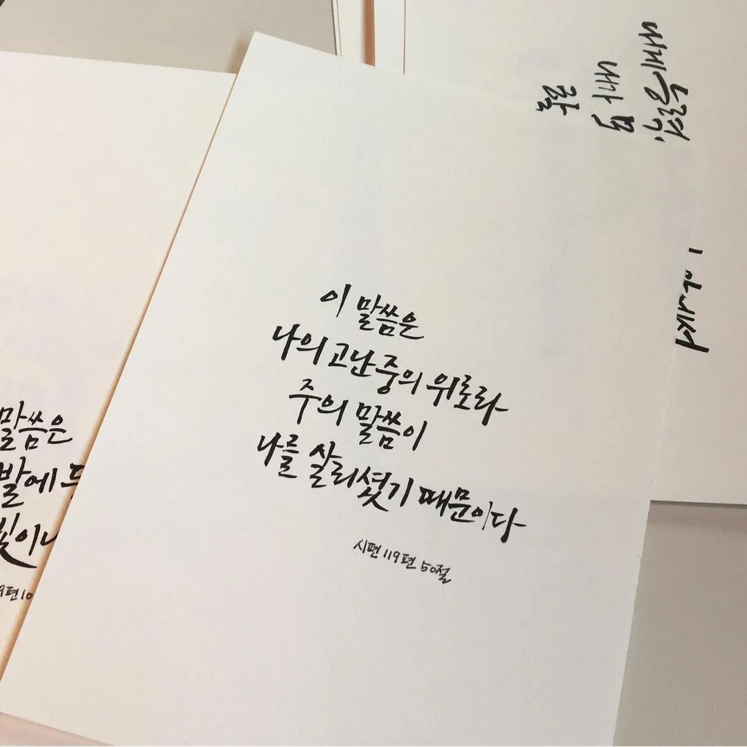 포트폴리오 이미지