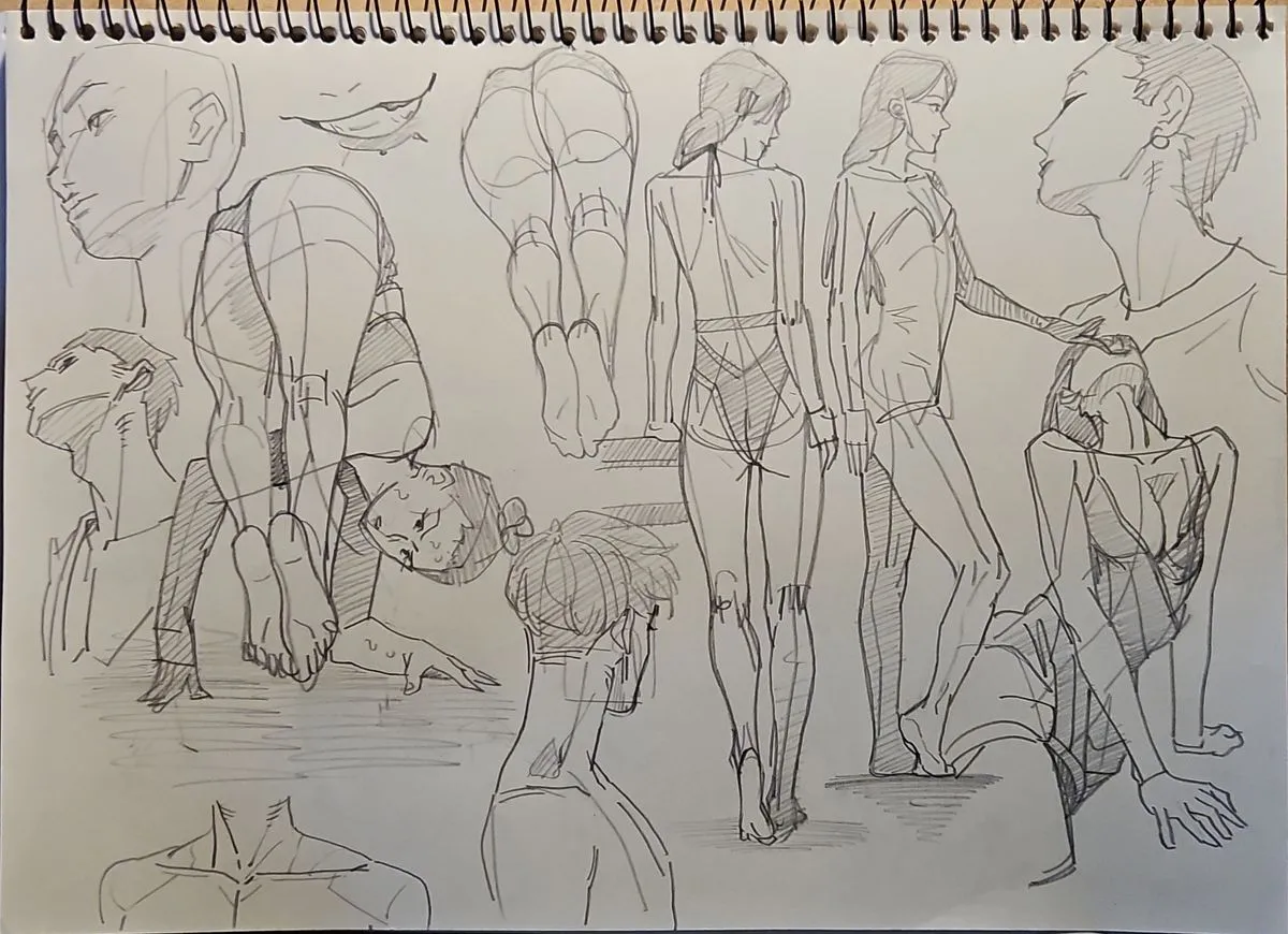 이미지 5