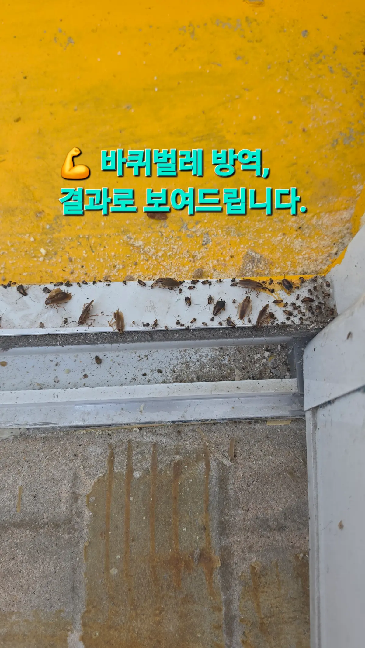 이미지 10