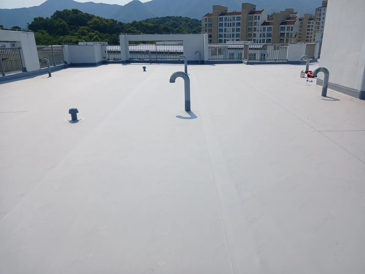 이미지 8