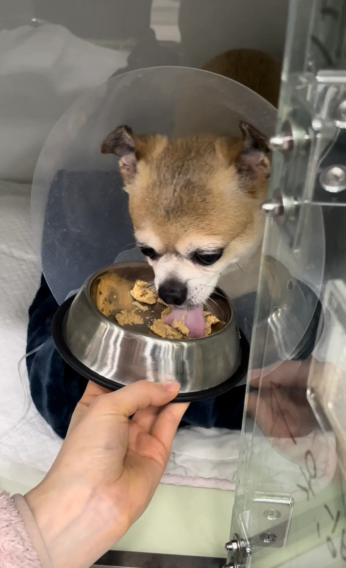 이미지 12