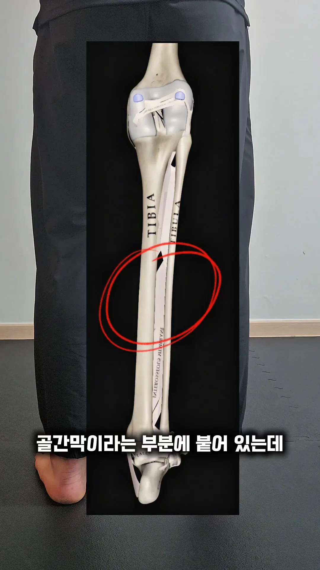 이미지 6