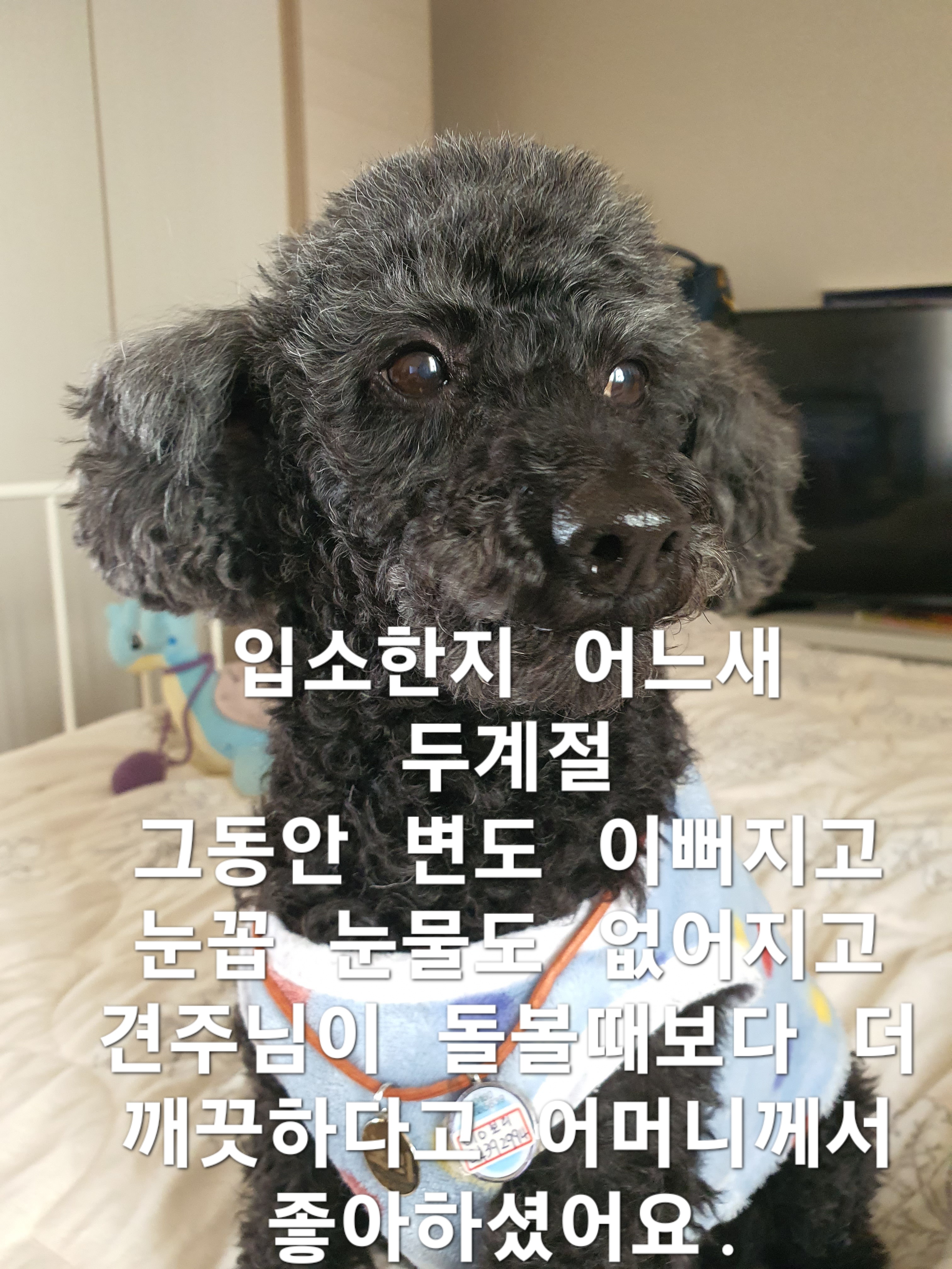 두계절을 넘긴 장기스테이